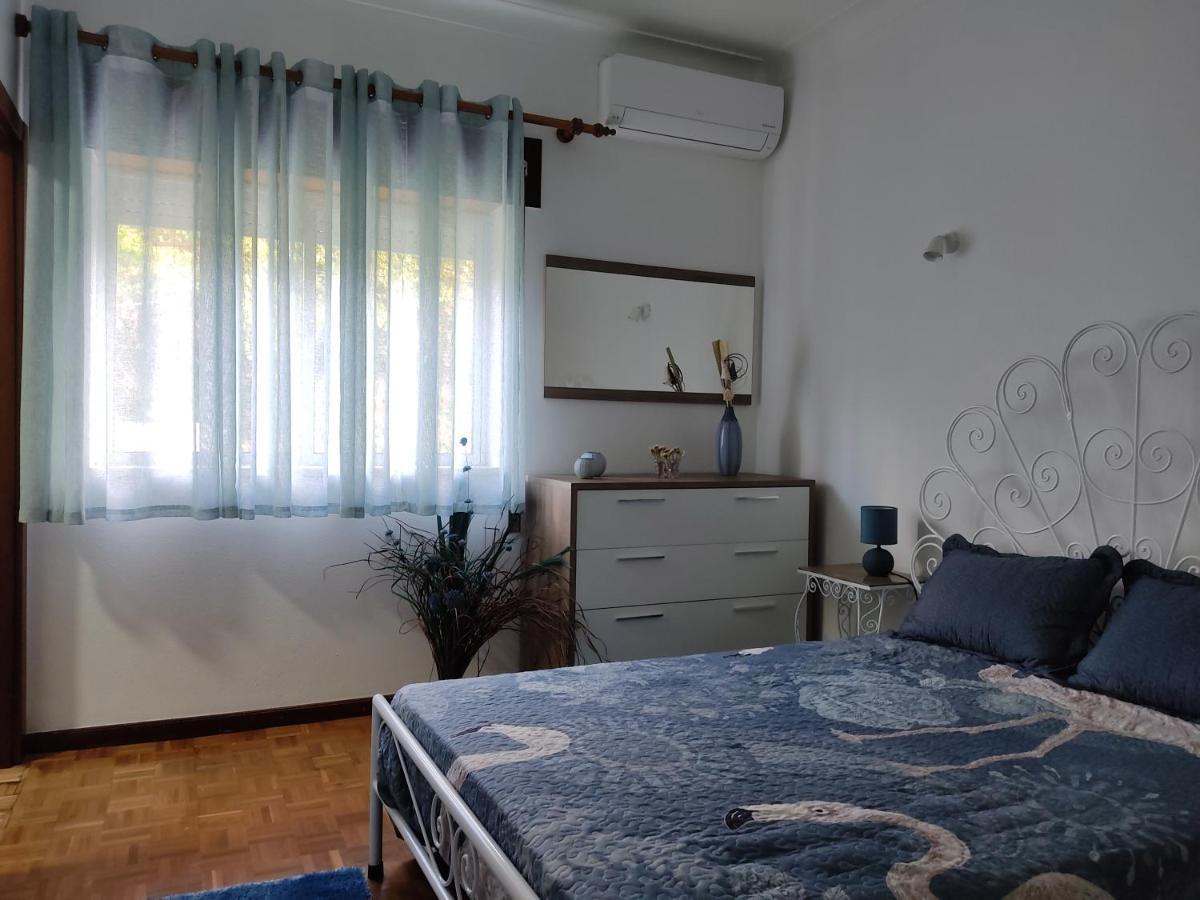 Casa Dos Avos Villa Vouzela Dış mekan fotoğraf