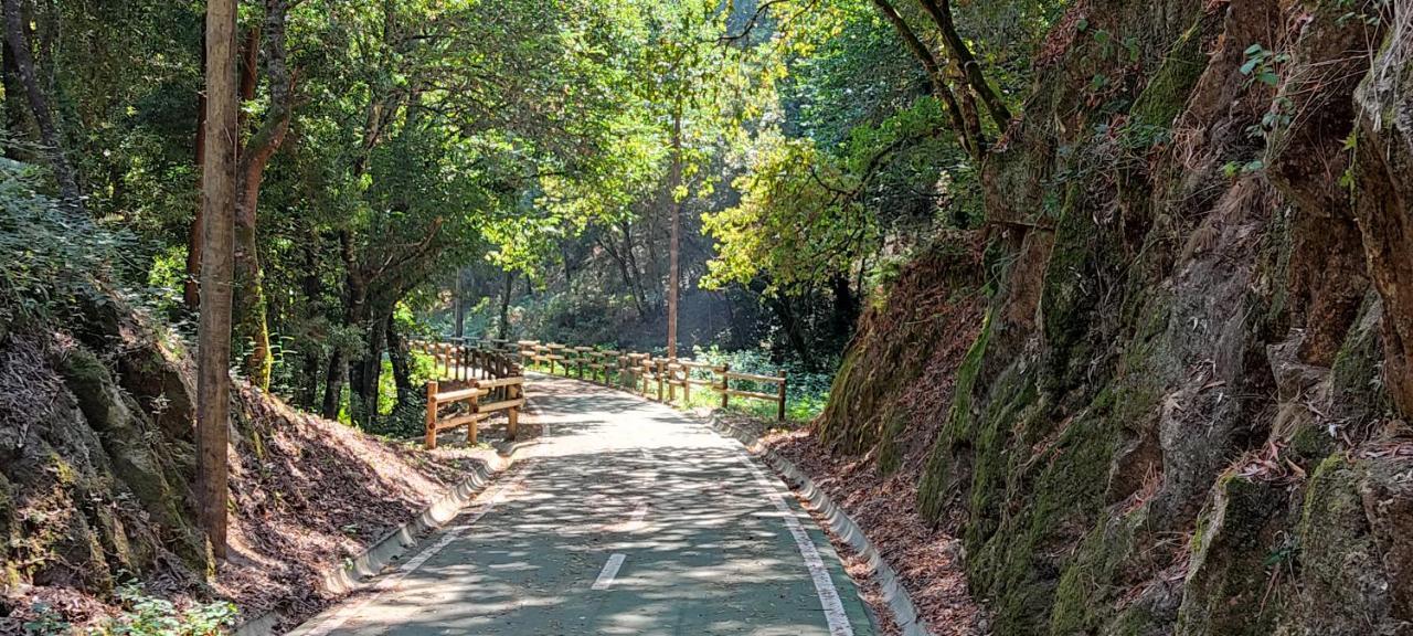 Casa Dos Avos Villa Vouzela Dış mekan fotoğraf
